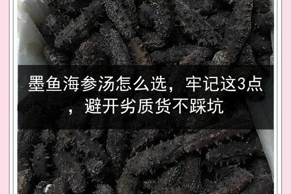 墨鱼海参汤怎么选,牢记这3点,避开劣质货不踩坑