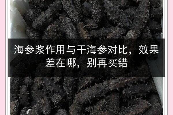海参浆作用与干海参对比,效果差在哪,别再买错