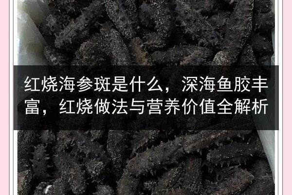 红烧海参斑是什么,深海鱼胶丰富,红烧做法与营养价值全解析