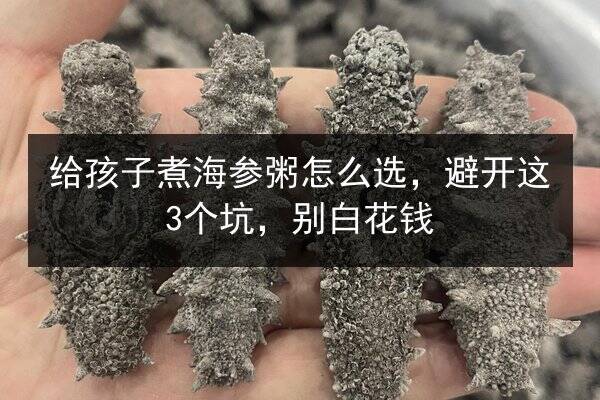 给孩子煮海参粥怎么选，避开这3个坑，别白花钱