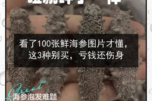 看了100张鲜海参图片才懂,这3种别买,亏钱还伤身
