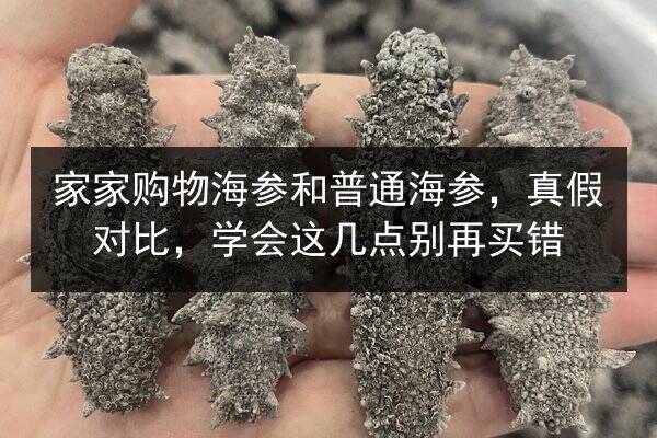 家家购物海参和普通海参，真假对比，学会这几点别再买错