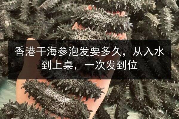 香港干海参泡发要多久,从入水到上桌,一次发到位