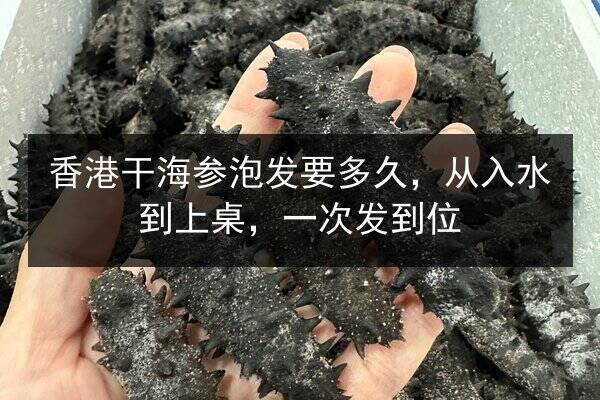 香港干海参泡发要多久,从入水到上桌,一次发到位