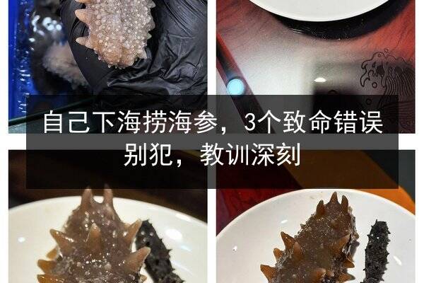 自己下海捞海参，3个致命错误别犯，教训深刻