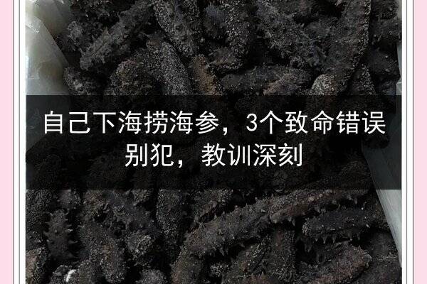 自己下海捞海参，3个致命错误别犯，教训深刻
