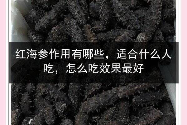 红海参作用有哪些，适合什么人吃，怎么吃效果最好