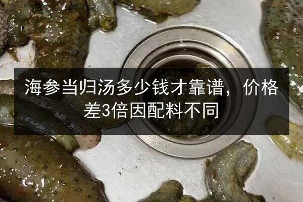 海参当归汤多少钱才靠谱，价格差3倍因配料不同
