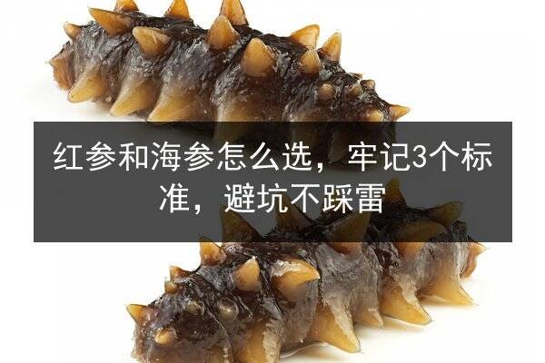 红参和海参怎么选,牢记3个标准,避坑不踩雷