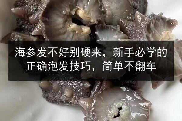 海参发不好别硬来,新手必学的正确泡发技巧,简单不翻车