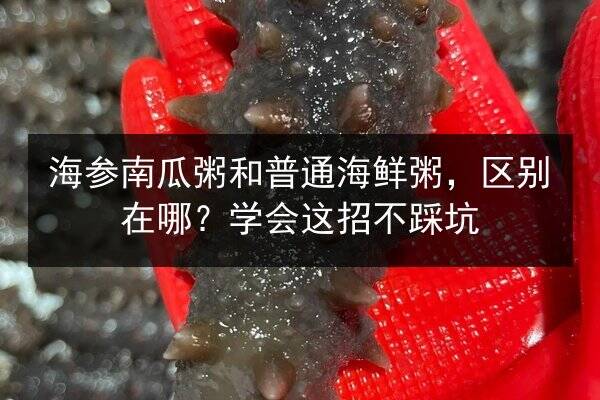 海参南瓜粥和普通海鲜粥，区别在哪？学会这招不踩坑
