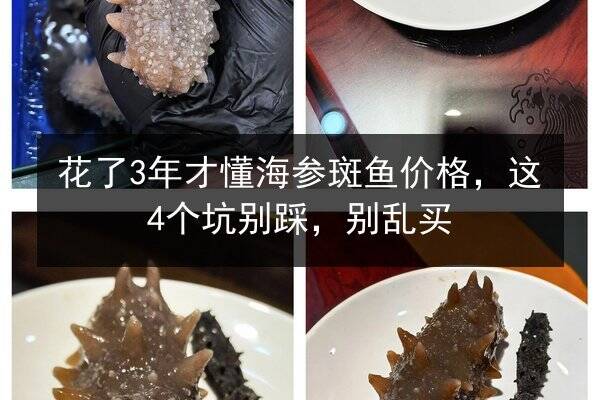 花了3年才懂海参斑鱼价格，这4个坑别踩，别乱买