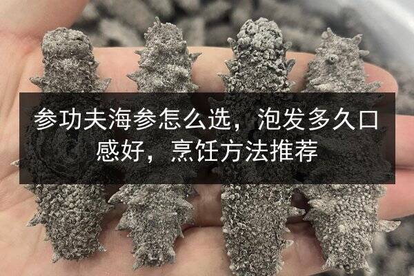 参功夫海参怎么选,泡发多久口感好,烹饪方法推荐