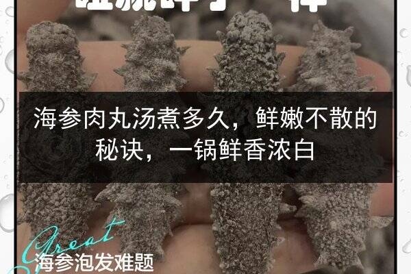海参肉丸汤煮多久,鲜嫩不散的秘诀,一锅鲜香浓白