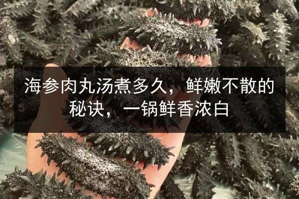 海参肉丸汤煮多久,鲜嫩不散的秘诀,一锅鲜香浓白