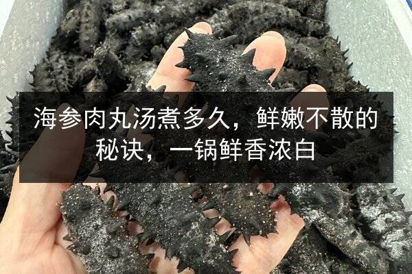 海参肉丸汤煮多久,鲜嫩不散的秘诀,一锅鲜香浓白