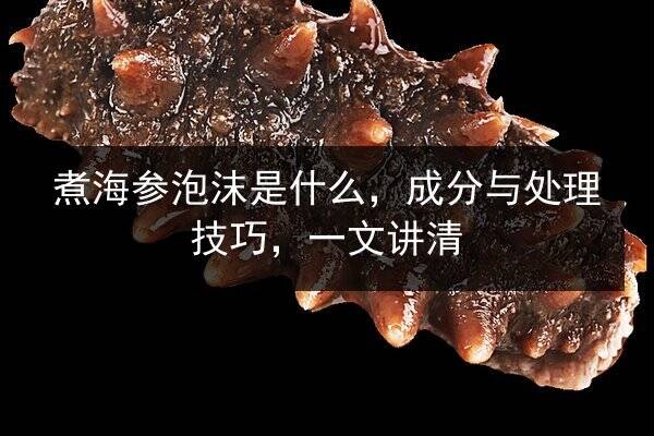 煮海参泡沫是什么，成分与处理技巧，一文讲清