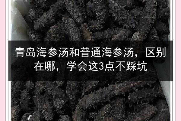 青岛海参汤和普通海参汤，区别在哪，学会这3点不踩坑