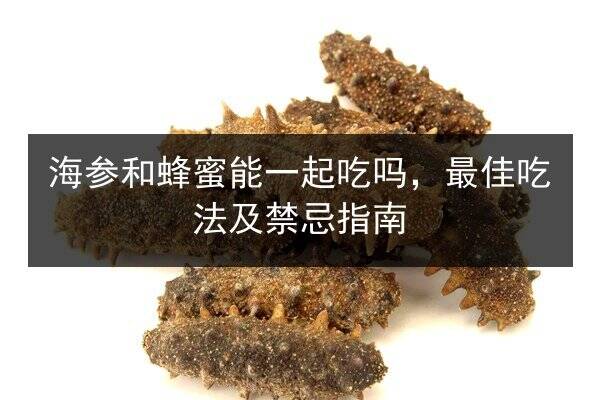 海参和蜂蜜能一起吃吗，最佳吃法及禁忌指南