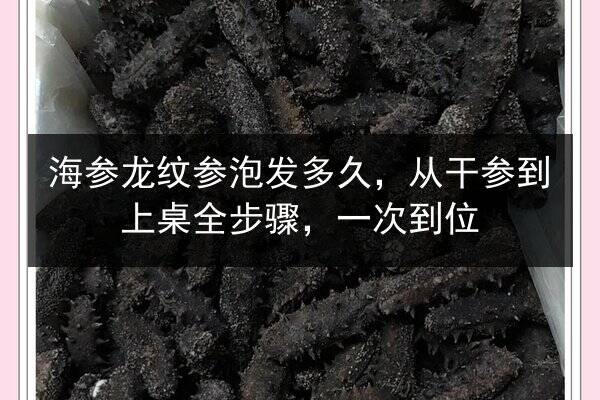 海参龙纹参泡发多久，从干参到上桌全步骤，一次到位