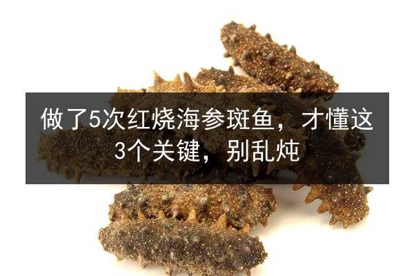 做了5次红烧海参斑鱼，才懂这3个关键，别乱炖
