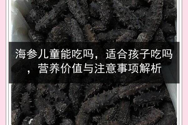 海参儿童能吃吗,适合孩子吃吗,营养价值与注意事项解析