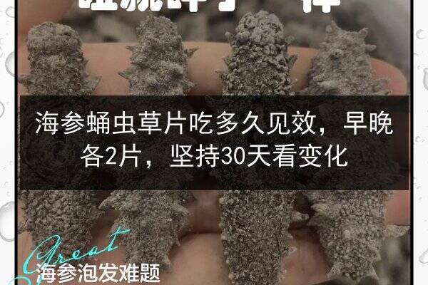 海参蛹虫草片吃多久见效，早晚各2片，坚持30天看变化