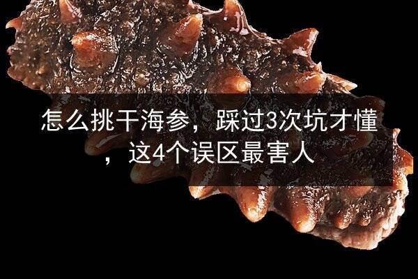 怎么挑干海参,踩过3次坑才懂,这4个误区最害人
