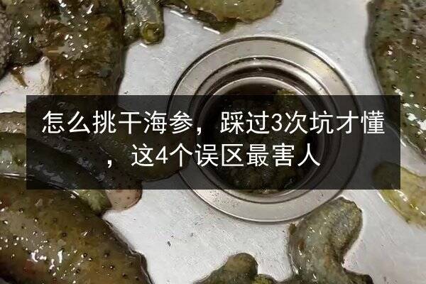 怎么挑干海参,踩过3次坑才懂,这4个误区最害人