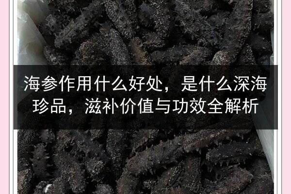 海参作用什么好处，是什么深海珍品，滋补价值与功效全解析