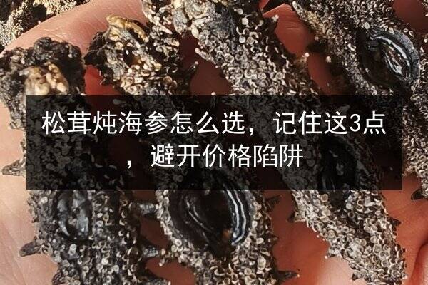 松茸炖海参怎么选,记住这3点,避开价格陷阱
