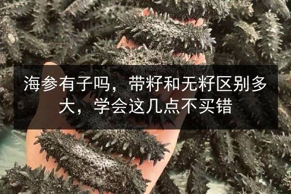 海参有子吗，带籽和无籽区别多大，学会这几点不买错