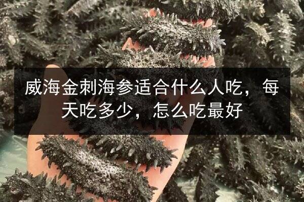 威海金刺海参适合什么人吃,每天吃多少,怎么吃最好
