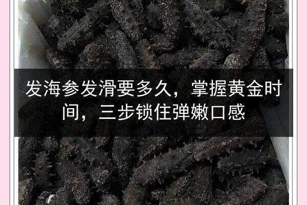 发海参发滑要多久,掌握黄金时间,三步锁住弹嫩口感