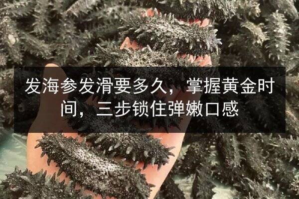 发海参发滑要多久,掌握黄金时间,三步锁住弹嫩口感