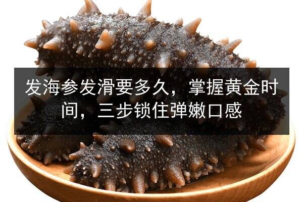 发海参发滑要多久,掌握黄金时间,三步锁住弹嫩口感