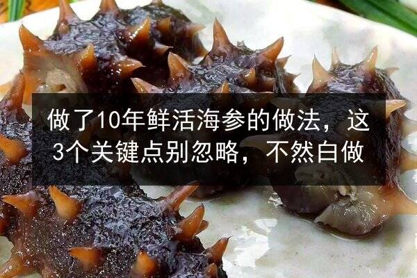 做了10年鲜活海参的做法，这3个关键点别忽略，不然白做