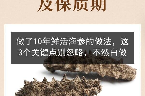 做了10年鲜活海参的做法，这3个关键点别忽略，不然白做
