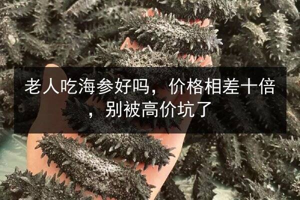 老人吃海参好吗,价格相差十倍,别被高价坑了