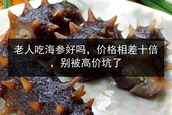 老人吃海参好吗,价格相差十倍,别被高价坑了