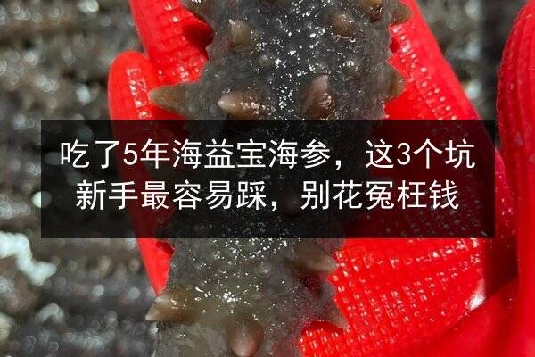 吃了5年海益宝海参,这3个坑新手最容易踩,别花冤枉钱