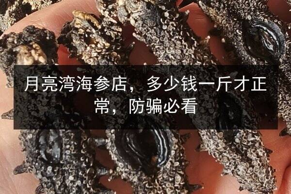 月亮湾海参店,多少钱一斤才正常,防骗必看