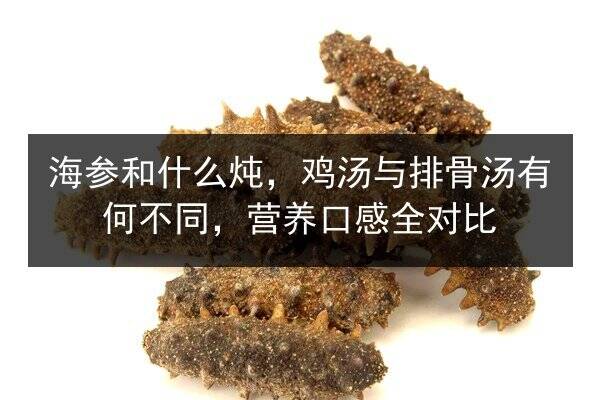 海参和什么炖,鸡汤与排骨汤有何不同,营养口感全对比