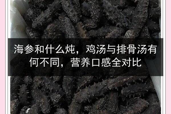 海参和什么炖,鸡汤与排骨汤有何不同,营养口感全对比