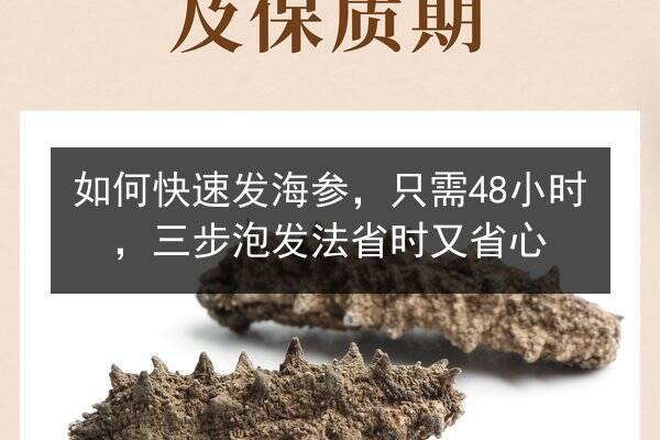 如何快速发海参,只需48小时,三步泡发法省时又省心