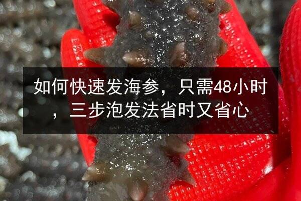 如何快速发海参,只需48小时,三步泡发法省时又省心
