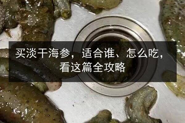 买淡干海参,适合谁、怎么吃,看这篇全攻略
