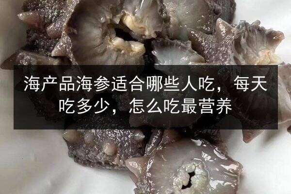海产品海参适合哪些人吃,每天吃多少,怎么吃最营养