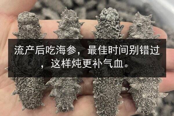 流产后吃海参,最佳时间别错过,这样炖更补气血。
