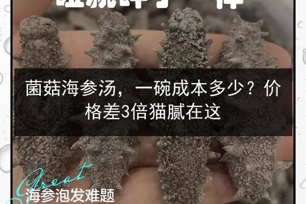 菌菇海参汤,一碗成本多少?价格差3倍猫腻在这
